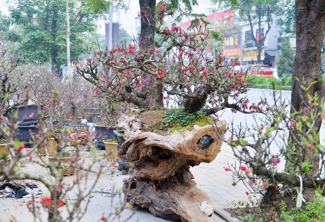 Cận cảnh cặp đ&agrave;o thất thốn 400 triệu, chờ đại gia thu&ecirc; về chơi tết- Ảnh 4.