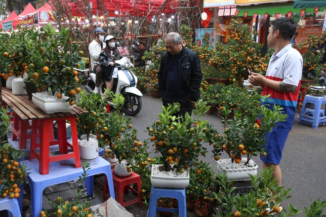 Người H&agrave; Nội t&igrave;m về chợ hoa phố cổ mua sắm dịp cận tết - Ảnh 5.