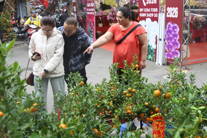 Người H&agrave; Nội t&igrave;m về chợ hoa phố cổ mua sắm dịp cận tết - Ảnh 4.