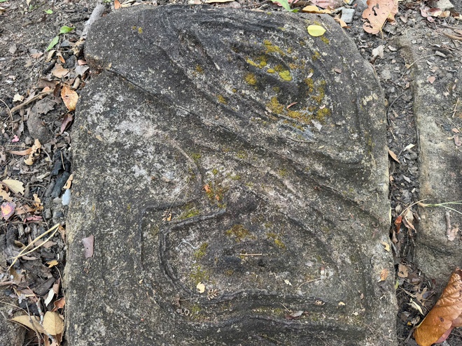 Ngỡ ng&agrave;ng b&atilde;i đ&aacute; c&oacute; họa tiết lạ giữa Vườn quốc gia Y&oacute;k Đ&ocirc;n- Ảnh 5.