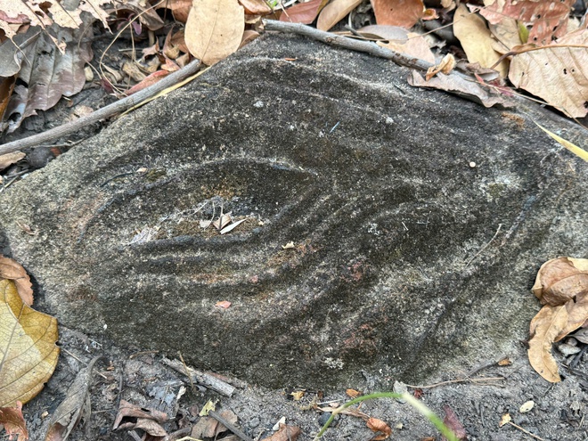 Ngỡ ng&agrave;ng b&atilde;i đ&aacute; c&oacute; họa tiết lạ giữa Vườn quốc gia Y&oacute;k Đ&ocirc;n- Ảnh 4.