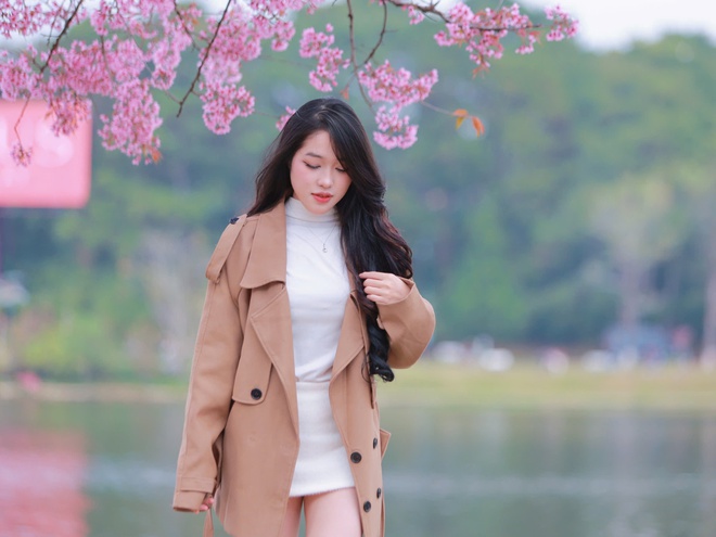 Bất ngờ mai anh đ&agrave;o nhuộm hồng Đ&agrave; Lạt, du kh&aacute;ch h&agrave;o hứng check-in - Ảnh 7.