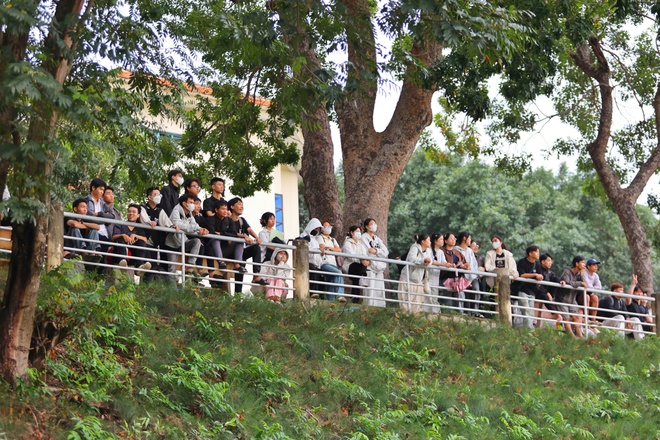 TNSV THACO cup 2026: Kh&aacute;n đ&agrave;i SVĐ Trường ĐH Nha Trang chật k&iacute;n kh&aacute;n giả- Ảnh 13.