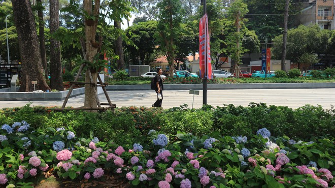 Vườn cẩm t&uacute; cầu 'view triệu đ&ocirc;' bất ngờ g&acirc;y sốt giữa trung t&acirc;m TP.HCM - Ảnh 12.