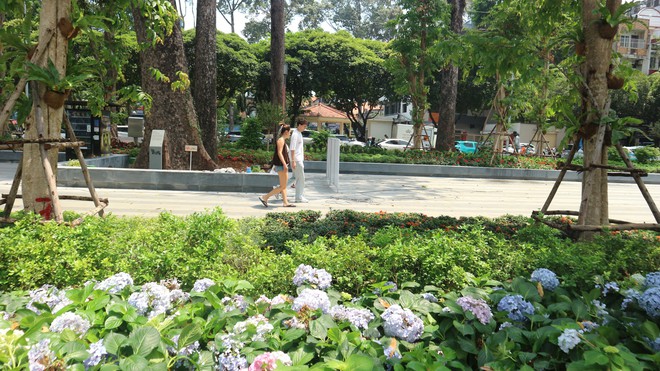 Vườn cẩm t&uacute; cầu 'view triệu đ&ocirc;' bất ngờ g&acirc;y sốt giữa trung t&acirc;m TP.HCM - Ảnh 8.