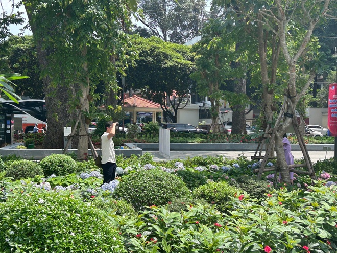 Vườn cẩm t&uacute; cầu 'view triệu đ&ocirc;' bất ngờ g&acirc;y sốt giữa trung t&acirc;m TP.HCM - Ảnh 11.