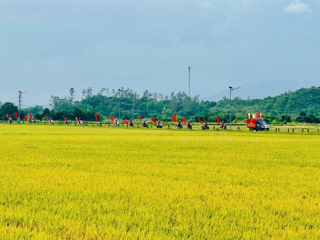 Kh&aacute;nh H&ograve;a rực rỡ cờ hoa ch&agrave;o ng&agrave;y hội bầu cử - Ảnh 11.