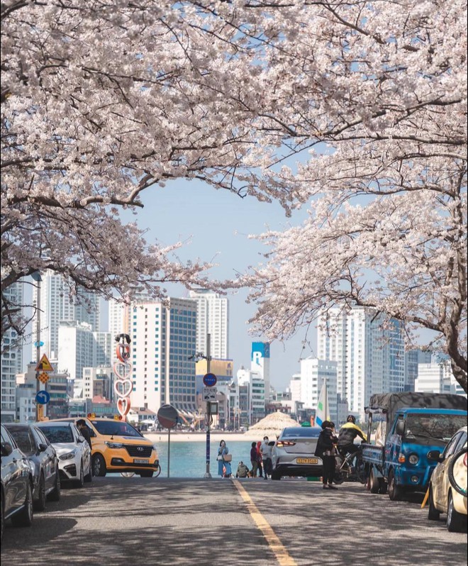 Sau 48 năm, Nhật Bản tăng phí visa với khách Việt- Ảnh 2. Sau 48 năm, Nhật Bản tăng phí visa với khách Việt- Ảnh 2.