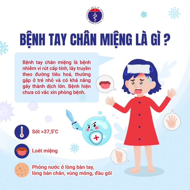 8 ca tay ch&acirc;n miệng tử vong: Trường học TP.HCM l&agrave;m g&igrave;? - Ảnh 2.