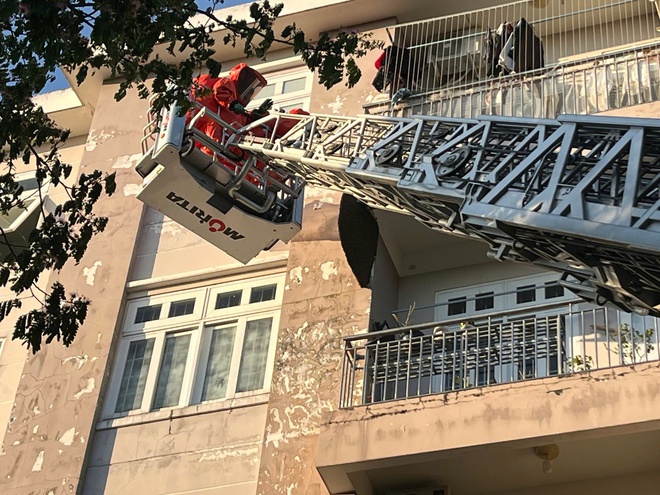 Kịp thời xử l&yacute; tổ ong 'khủng' trong khu d&acirc;n cư ở TP.HCM - Ảnh 3.