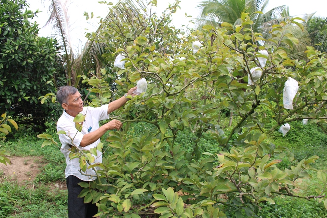 Quỹ hỗ trợ cộng đồng David Dương gi&uacute;p người d&acirc;n vươn l&ecirc;n l&agrave;m gi&agrave;u - Ảnh 4.