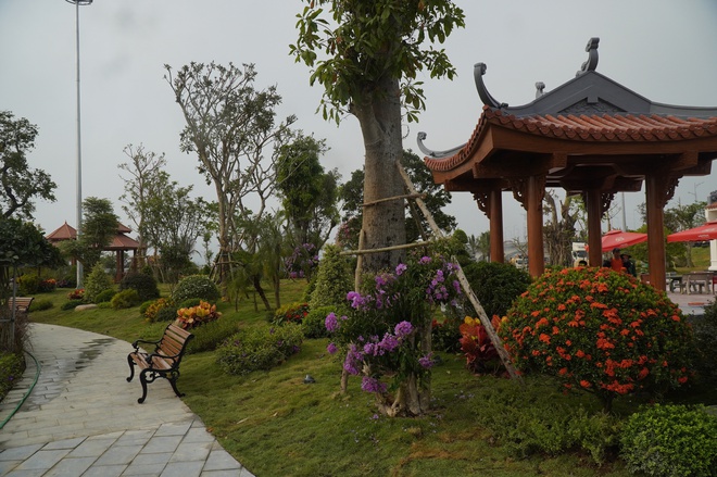 Bến ph&agrave; Gianh th&agrave;nh c&ocirc;ng vi&ecirc;n tưởng niệm, đ&aacute;nh thức k&yacute; ức t&agrave;u kh&ocirc;ng số huyền thoại- Ảnh 6.