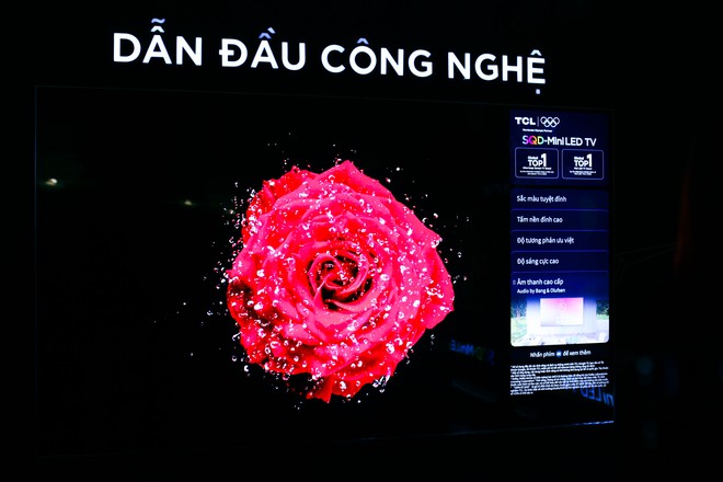TV SQD-Mini LED độc quyền lần đầu ra mắt tại Việt Nam - Ảnh 2.