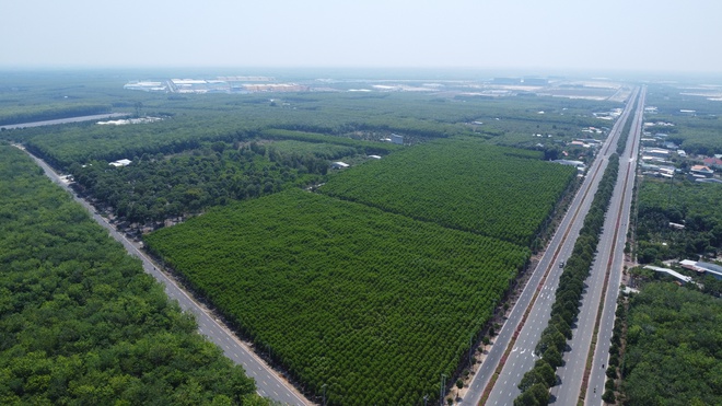 Th&agrave;nh lập 10 phường mới ở Đồng Nai: T&acirc;n Khai c&oacute; lợi thế g&igrave;?- Ảnh 7.