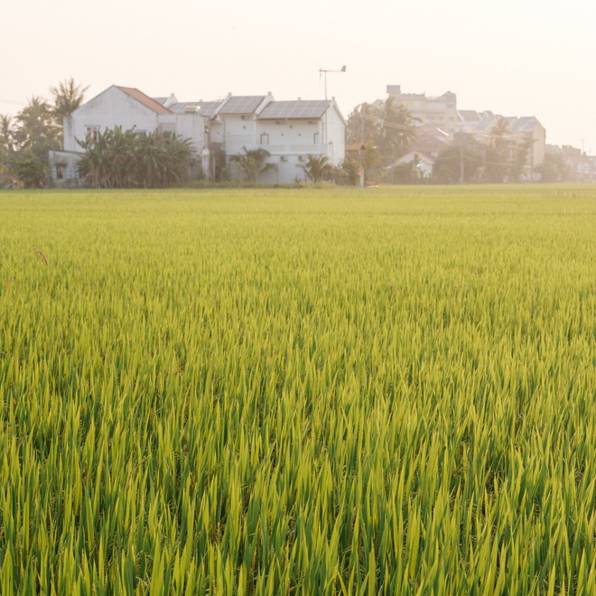 36 giờ khám phá Hội An theo cách của du khách nước ngoài - Ảnh 3.