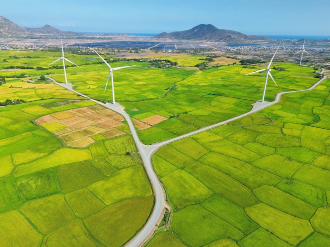 Cánh đồng điện gió đẹp như tranh vẽ tại Khánh Hòa - Ảnh 6.