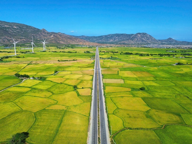 Cánh đồng điện gió đẹp như tranh vẽ tại Khánh Hòa - Ảnh 5.