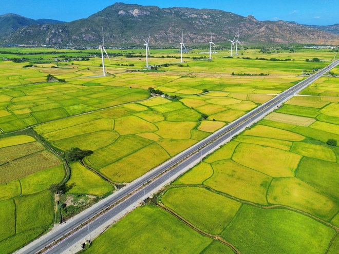 Cánh đồng điện gió đẹp như tranh vẽ tại Khánh Hòa - Ảnh 4.