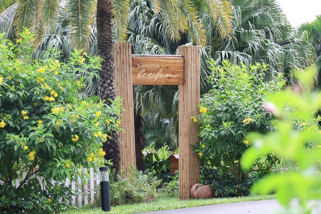 Hành trình hè trọn vẹn từ Huế trầm mặc đến Phú Quốc, TP.HCM sôi động- Ảnh 23.