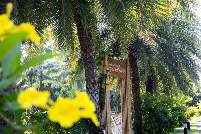 Hành trình hè trọn vẹn từ Huế trầm mặc đến Phú Quốc, TP.HCM sôi động- Ảnh 24.