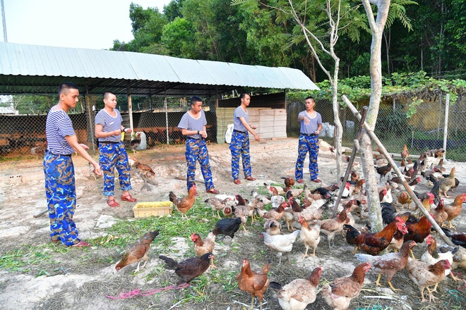 Thao trường của những người l&iacute;nh trẻ V&ugrave;ng 2 Hải qu&acirc;n- Ảnh 19.