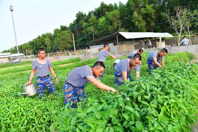 Thao trường của những người l&iacute;nh trẻ V&ugrave;ng 2 Hải qu&acirc;n- Ảnh 20.