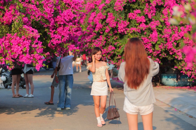 Chen nhau check-in con đường hoa giấy g&acirc;y 'sốt' tại Nha Trang- Ảnh 7.