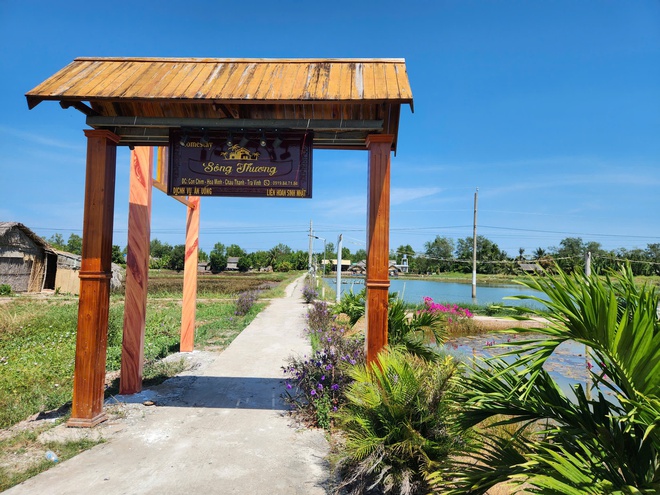 Cồn Chim, ốc đảo xinh đẹp v&ugrave;ng s&ocirc;ng nước phương Nam- Ảnh 5.