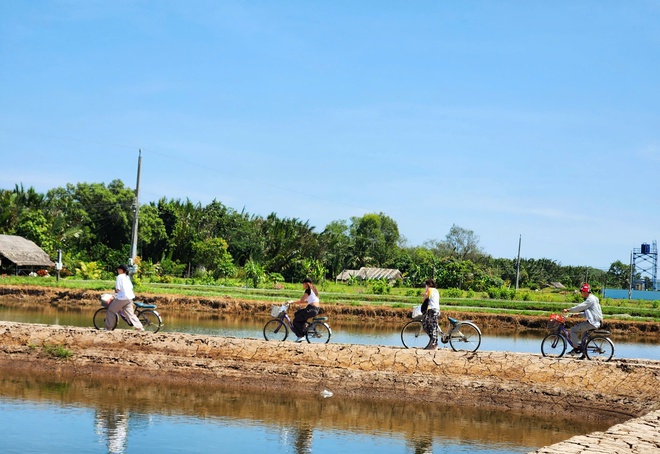 Cồn Chim, ốc đảo xinh đẹp v&ugrave;ng s&ocirc;ng nước phương Nam- Ảnh 2.