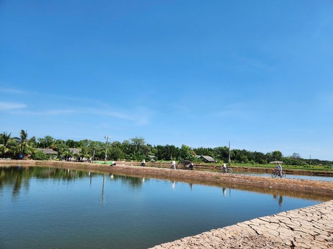 Cồn Chim, ốc đảo xinh đẹp v&ugrave;ng s&ocirc;ng nước phương Nam- Ảnh 3.