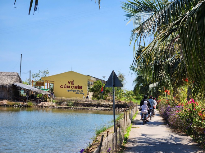 Cồn Chim, ốc đảo xinh đẹp v&ugrave;ng s&ocirc;ng nước phương Nam- Ảnh 4.