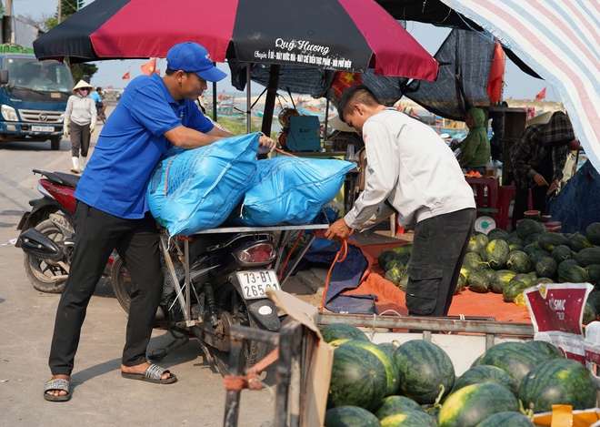 Dưa hấu gi&aacute; rẻ chỉ 3.000 đồng/kg, n&ocirc;ng d&acirc;n Quảng Trị 'đứng ngồi kh&ocirc;ng y&ecirc;n'- Ảnh 6.
