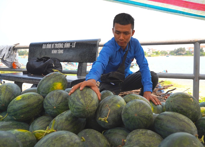 Dưa hấu gi&aacute; rẻ chỉ 3.000 đồng/kg, n&ocirc;ng d&acirc;n Quảng Trị 'đứng ngồi kh&ocirc;ng y&ecirc;n'- Ảnh 5.