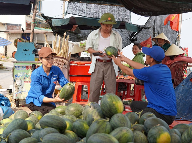 Dưa hấu gi&aacute; rẻ chỉ 3.000 đồng/kg, n&ocirc;ng d&acirc;n Quảng Trị 'đứng ngồi kh&ocirc;ng y&ecirc;n'- Ảnh 4.