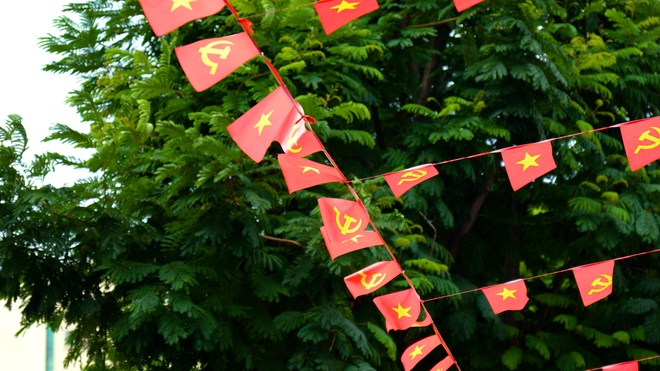 TP.HCM rực rỡ cờ đỏ sao v&agrave;ng ng&agrave;y 30.4: Niềm tự h&agrave;o ngập tr&agrave;n - Ảnh 5.