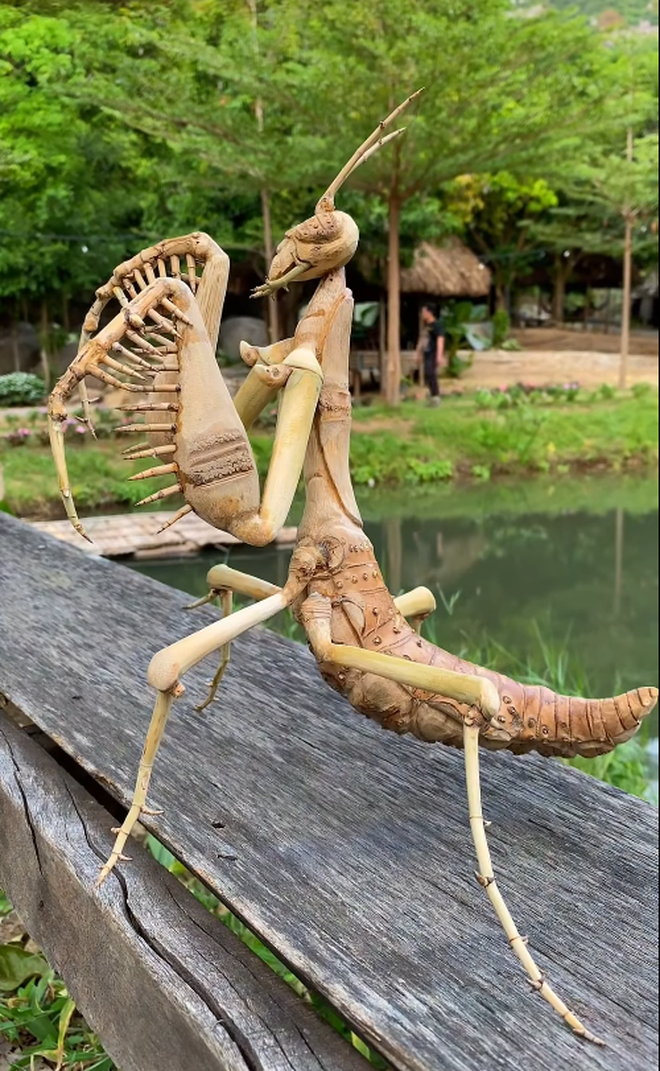 Chuyện ch&agrave;ng trai 8X 'thổi hồn' v&agrave;o tre gai, tạo m&ocirc; h&igrave;nh độc bản ở T&acirc;y Ninh- Ảnh 8.