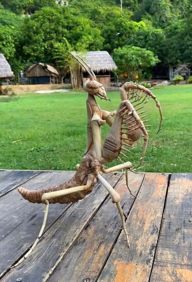 Chuyện ch&agrave;ng trai 8X 'thổi hồn' v&agrave;o tre gai, tạo m&ocirc; h&igrave;nh độc bản ở T&acirc;y Ninh- Ảnh 7.