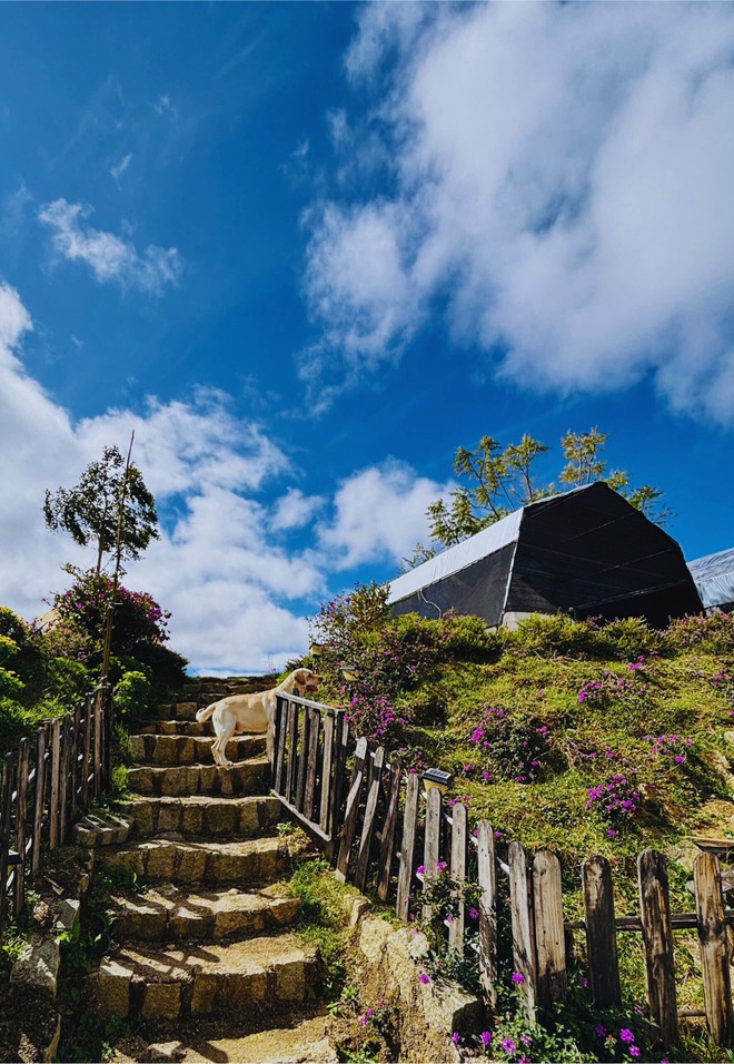 Nghỉ lễ 30.4: Ghé homestay ở Đà Lạt 'không cần săn mây, mây... tự tìm tới' - Ảnh 8.