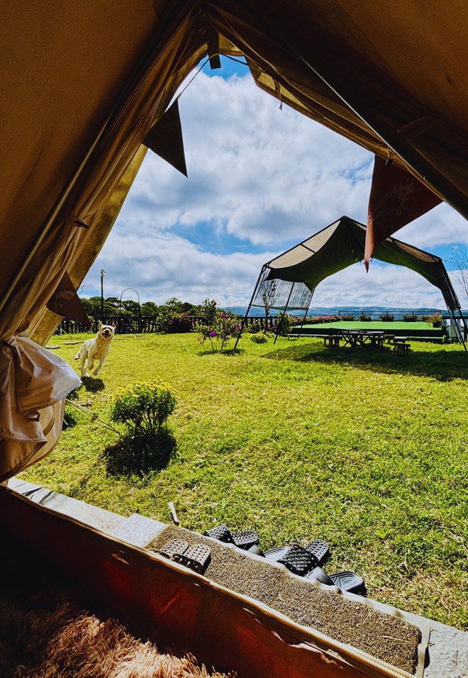 Nghỉ lễ 30.4: Ghé homestay ở Đà Lạt 'không cần săn mây, mây... tự tìm tới' - Ảnh 6.