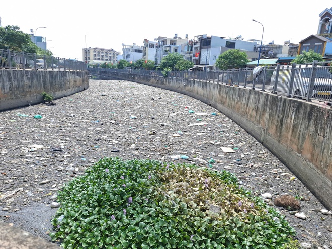 R&aacute;c ngập mặt k&ecirc;nh- Ảnh 1.