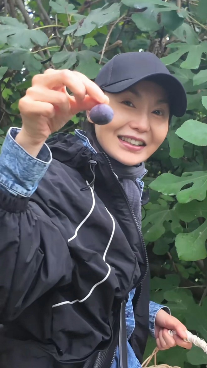 Trương Mạn Ngọc rời showbiz về l&agrave;m n&ocirc;ng, h&uacute;t triệu fan tr&ecirc;n mạng x&atilde; hội - Ảnh 5.