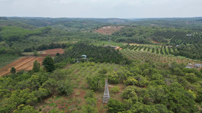  Trụ điện 110kV không có đai ốc ngã đổ gây bất an- Ảnh 12.