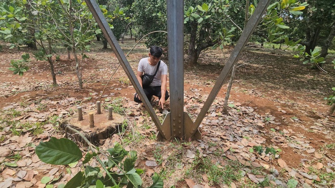 Đồng Nai: Trụ điện 110 kV kh&ocirc;ng c&oacute; đai ốc ng&atilde; đổ g&acirc;y bất an- Ảnh 9.