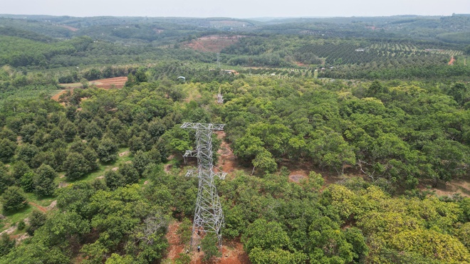  Trụ điện 110kV không có đai ốc ngã đổ gây bất an- Ảnh 13.