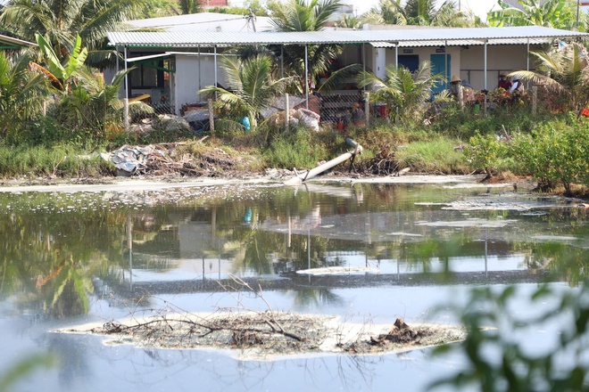 Gia Lai chỉ đạo xử l&yacute; vụ chế biến mực x&agrave; 54 hộ l&agrave;m khổ 7.000 d&acirc;n- Ảnh 16.