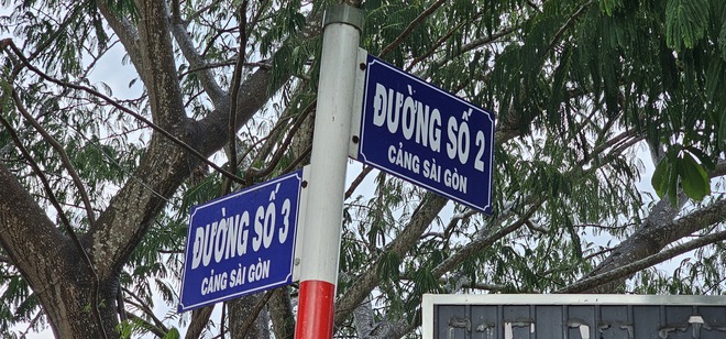 Cùng một khu dân cư - Ảnh 1.