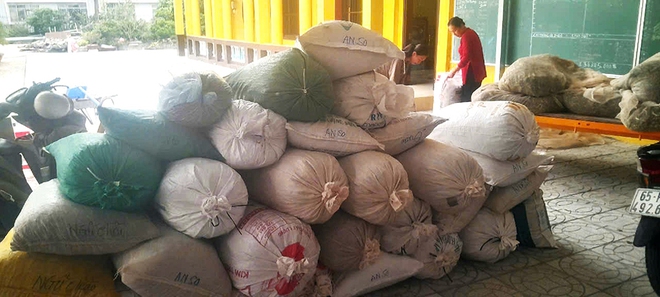 Biến ruộng l&uacute;a th&agrave;nh vườn thuốc nam từ thiện - Ảnh 4.