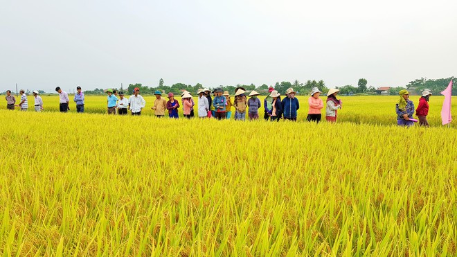 Quảng Trị tìm giải pháp thích ứng khí hậu từ những người chịu tác động trực tiếp- Ảnh 4. Quảng Trị tìm giải pháp thích ứng khí hậu từ những người chịu tác động trực tiếp- Ảnh 4.