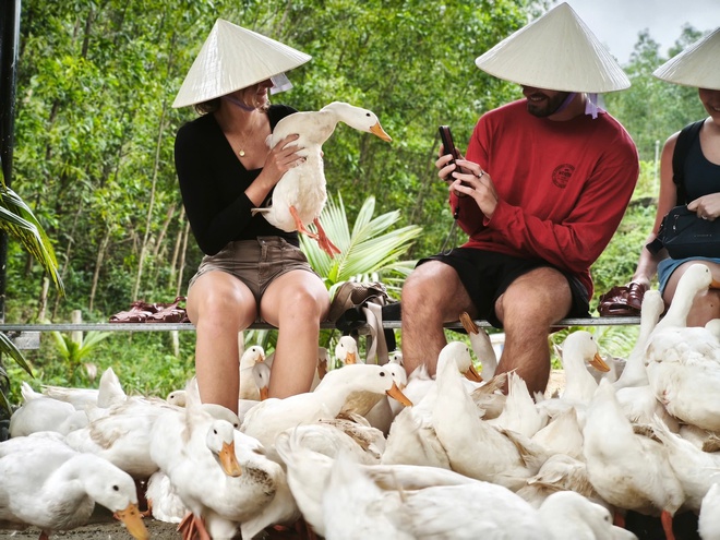 "Massage vịt" h&uacute;t kh&aacute;ch T&acirc;y đến miền di sản - Ảnh 7.