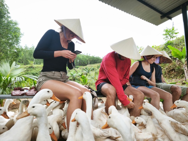 "Massage vịt" h&uacute;t kh&aacute;ch T&acirc;y đến miền di sản - Ảnh 8.